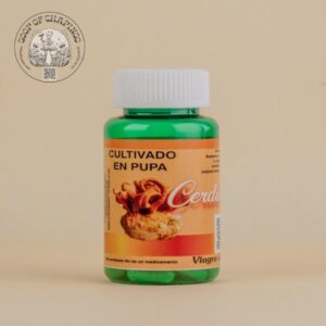 Cordyceps - Suplemento